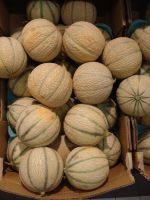 Meloenen cavaillon - Tuinhier Oudenburg