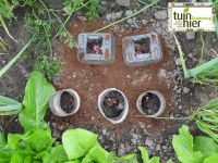 Preventie voor slakken - Tuinhier Oudenburg