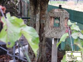 Vogels voederen - Tuinhier Oudenburg